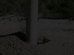 Τεχνική πλεύσης Vibro για την τροφοδοσία του βυθού