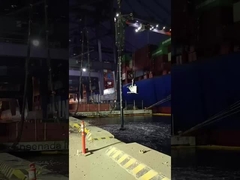 Βιβροφλότ κάτω από την τροφή